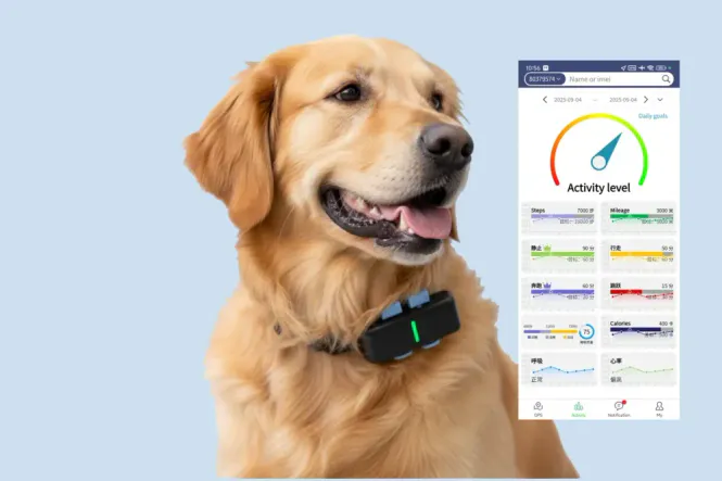 Hovedbilde Xexun P02 4G GPS-tracker til hund – IP68 ...